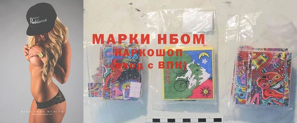 сатива Зеленокумск